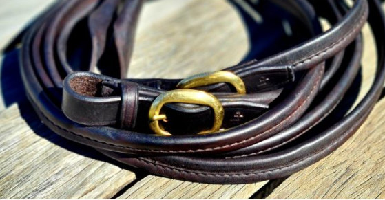 Toprail Soft Folded Leather Split Show Reins With Popper Ends