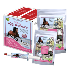 Evm Rejuvenate Paste 60G