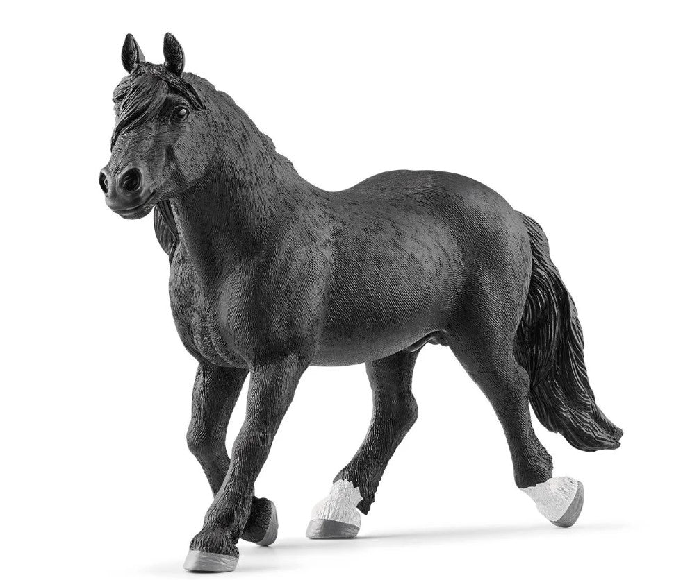 Schleich - Noriker Stallion