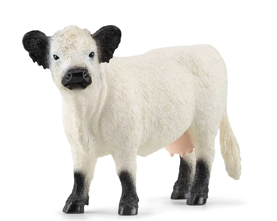 Schleich - Galloway Cow