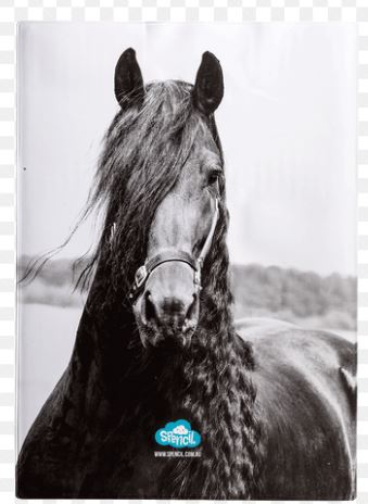 Spencil A4 Book Cover - Black and White Horses 2