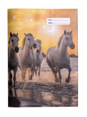 Spencil A4 Book Cover - Cosmic Canter 1