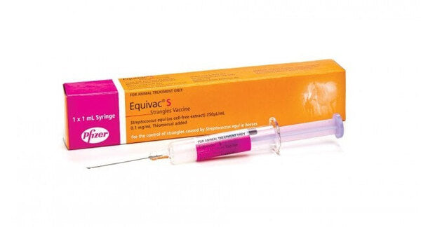 Equivac Strangles Injection