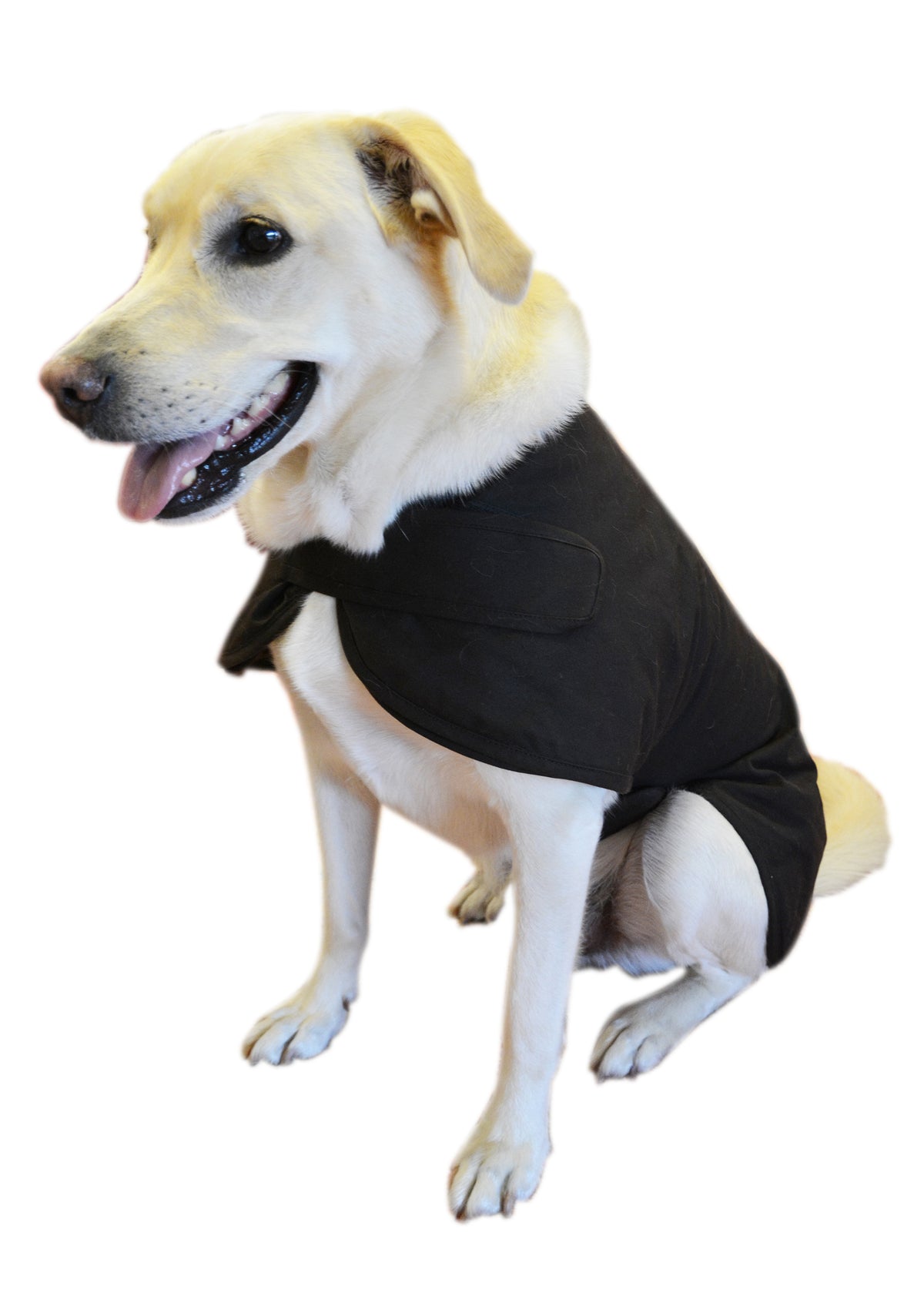 Thomas Cook High Country 2 In 1 Oilskin Dog Jacket