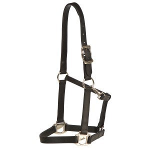 Tekna Buckle Halter