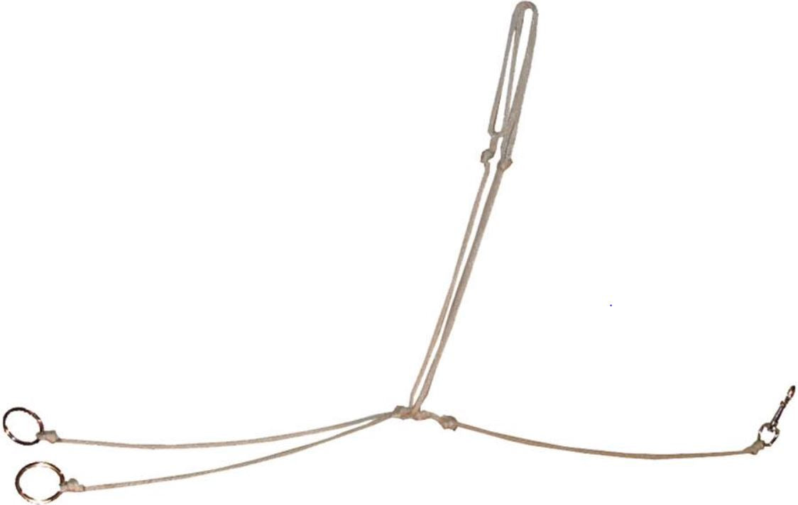 Ezy Ride String Martingale