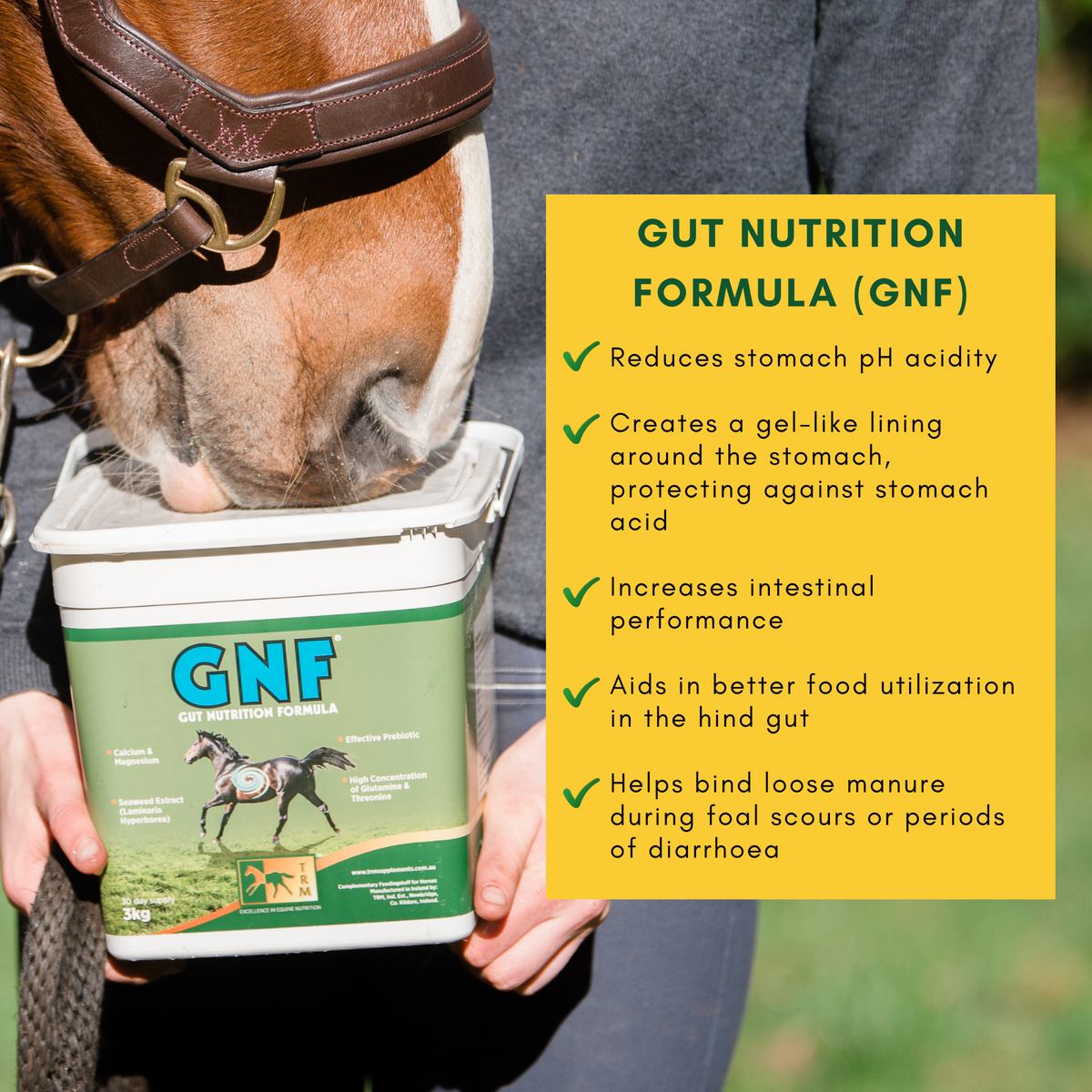 Gut Nutrition Formula