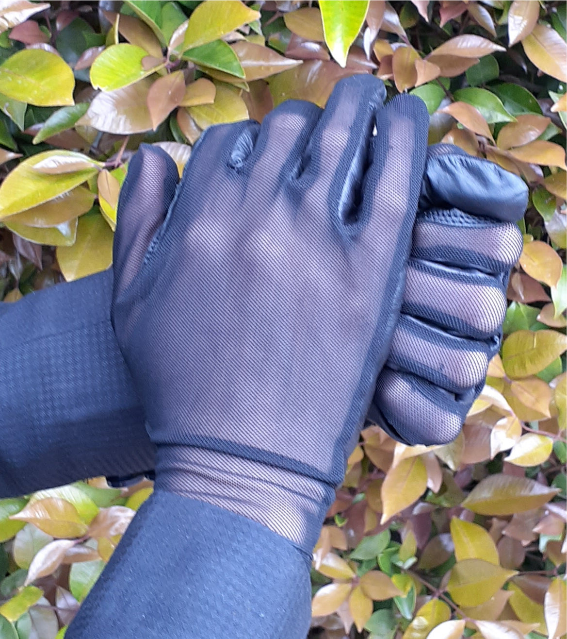 Oxley Outfitters Navy Airmesh Gloves