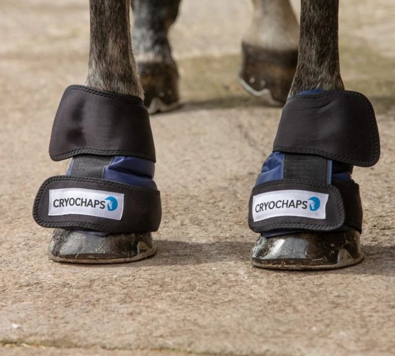 Cryochaps Absolute Ice Wrap Pair Pastern/Hocks/Knees