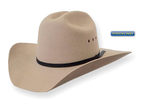 Pure Western Tornado Hat