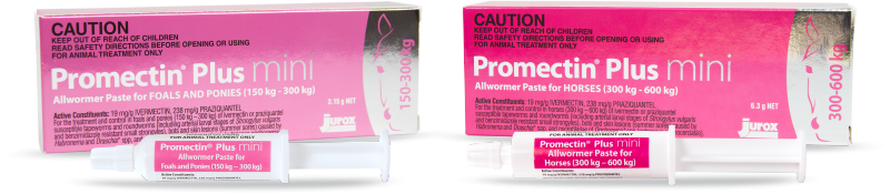 Promectin Plus Mini For Foals And Ponies