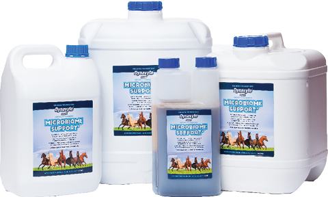 Dynavyte Equine Microbiome Support