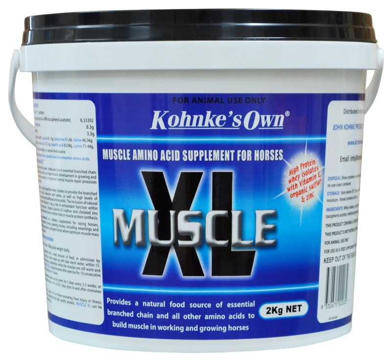 Kohnkes Muscle Xl