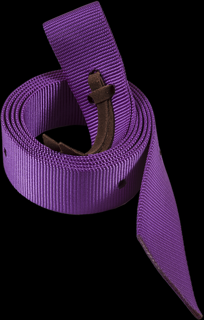 Ezy Ride Latigo Plain Nylon Nearside