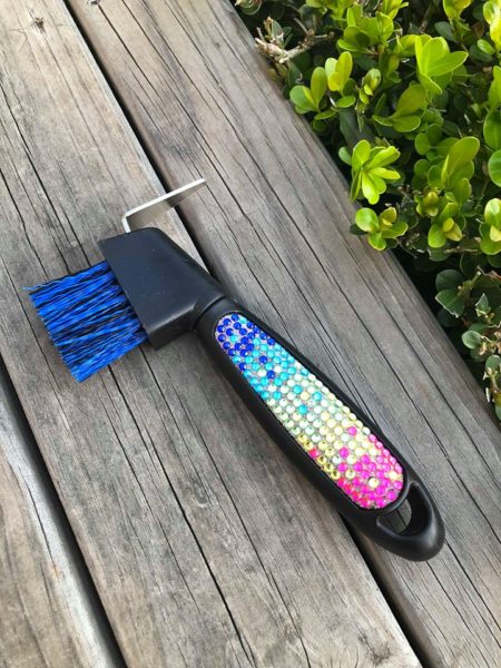 Academy Rainbow Crystal Hoof Pick