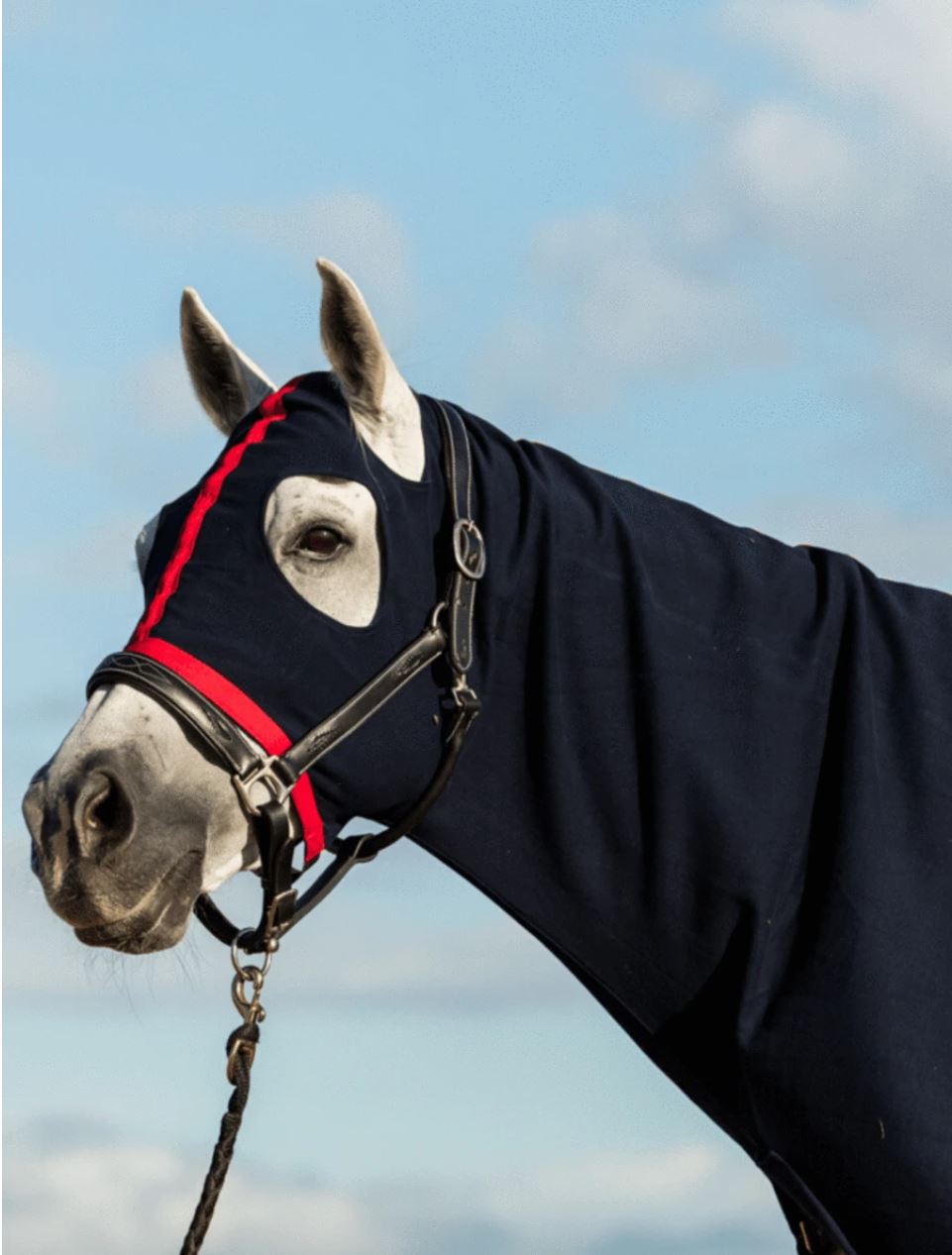 Earlwood - Zipped Up Hood