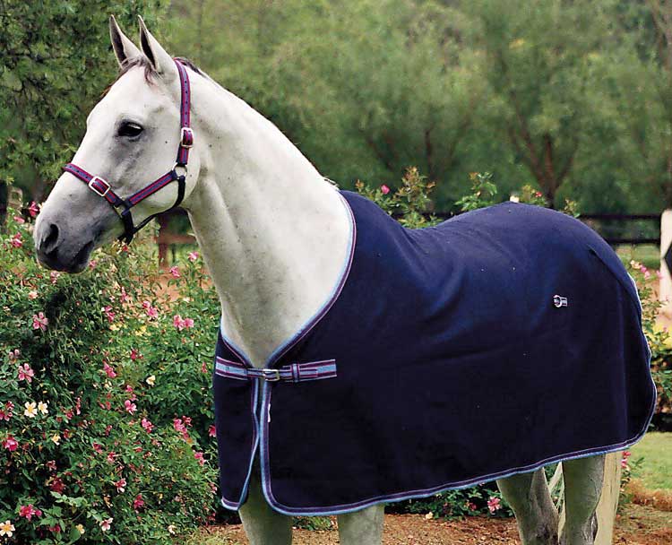 Zilco Defender Wool Rug