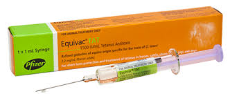Equivac Tetanus Antitoxin Injection
