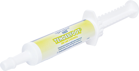 Dynavyte Equine Tenderfoot