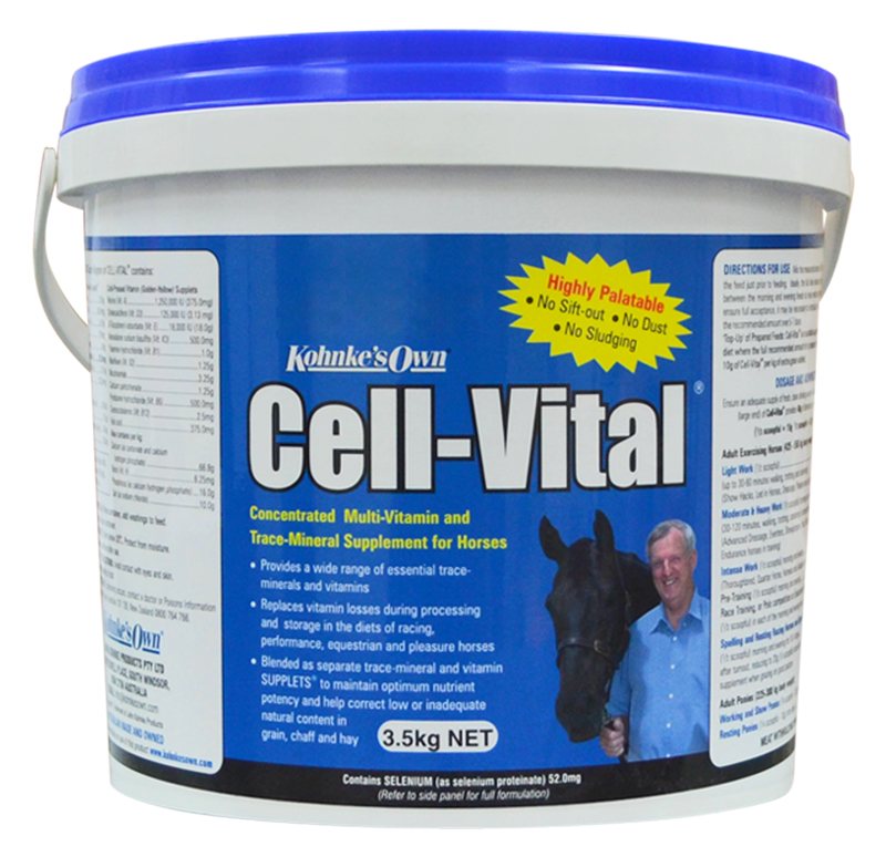 Kohnkes Cell Vital