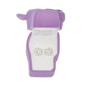 Earrings Clear Rhinestone Horse Shoe