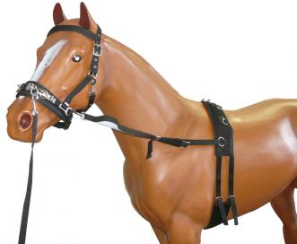 Status Training Lunge Kit - 5 Pieces