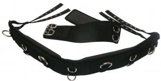 Anti-Gall 2 Piece Lunge Roller