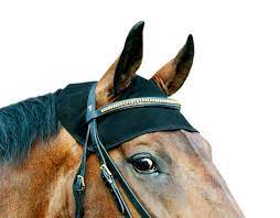 Back On Track Poll Cap