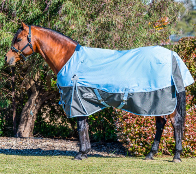 Eurohunter Hotham Rug