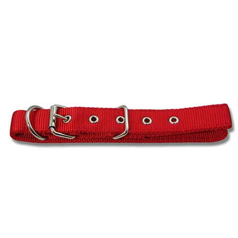 Dog Collar Web 60Cm