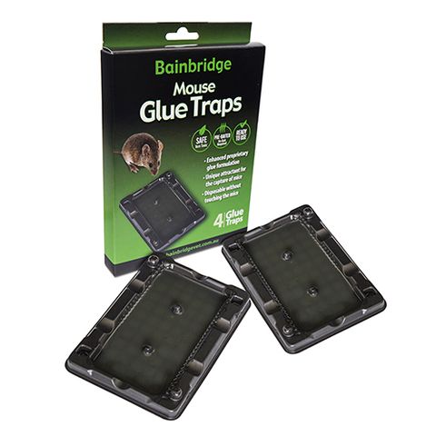 Mouse Glue Trap 4Pk