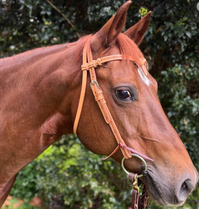 Ezy Ride Bridle with Futurity Knot and Barbwire Stamping Natural