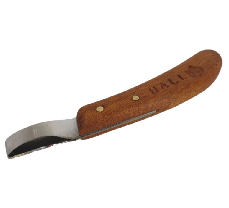 Hall Loop Knife
