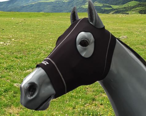 Hidez Eq Hood