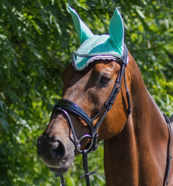 QHP Ear Bonnett - Black Friday Sales