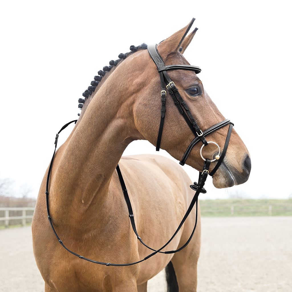 Horze Constance Bridle