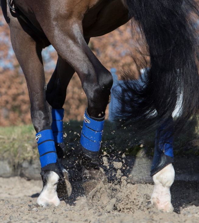 LeMieux Grafter Brushing Boot