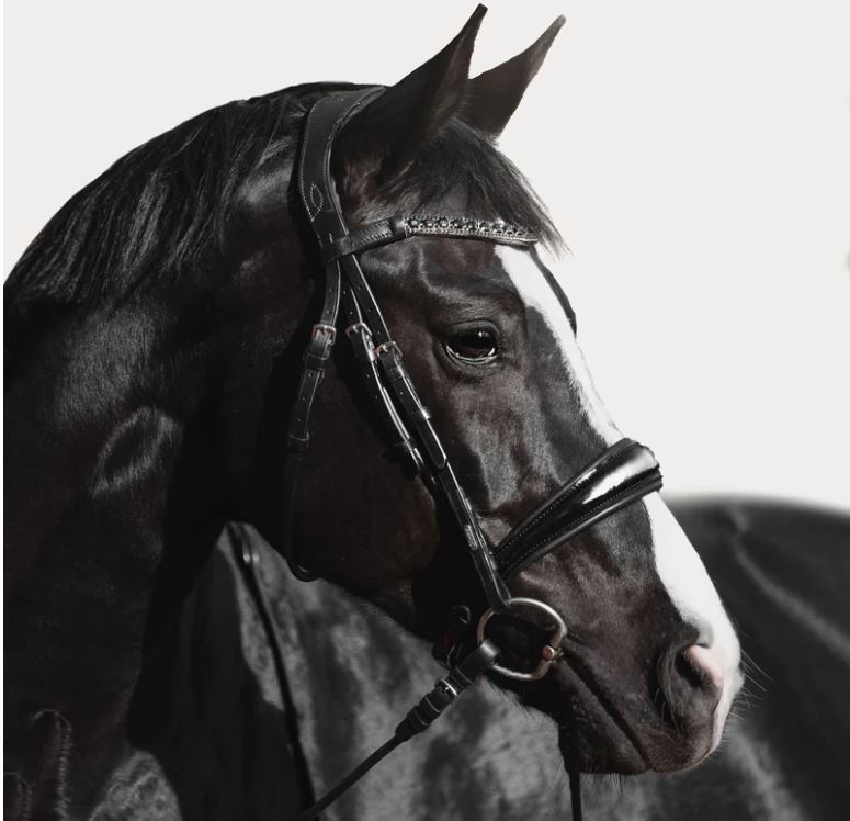 Lumiere Equestrian Audrey Black Italian Leather Bridle Cavesson Nappa Leather Reins