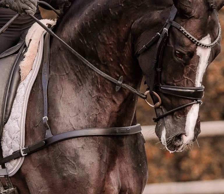 Lumiere Alicia Leather Dressage Breastplate