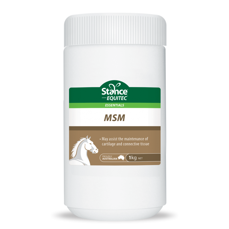 Equitec Essentials Msm