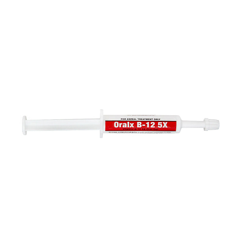 Oralx Vitamin B 12 6Ml