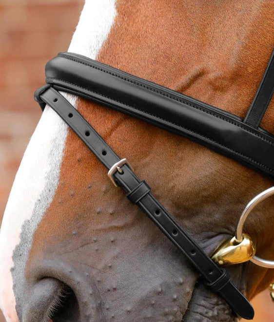 Premier Equine Bellissima Crank Bridle with Diamante Browband