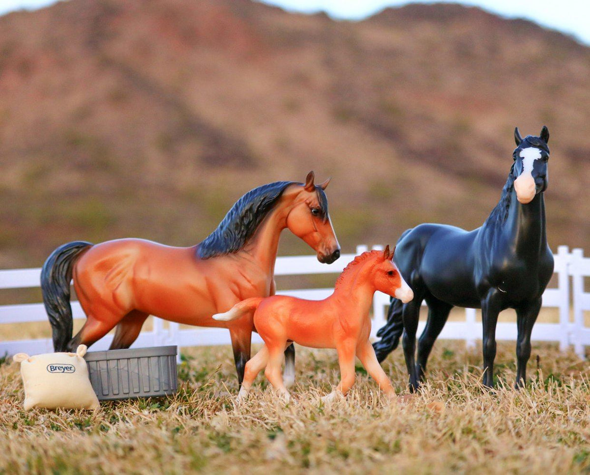 Breyer Freedom Series Spanish Mustang Family 3 Piece Set