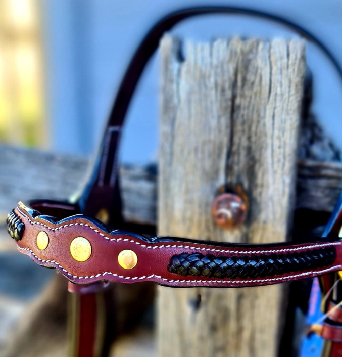 Toprail Leather Show Bridle With 3 Studs And Contrast Brown Plait