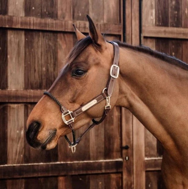 Kentucky Leather Rope Halter